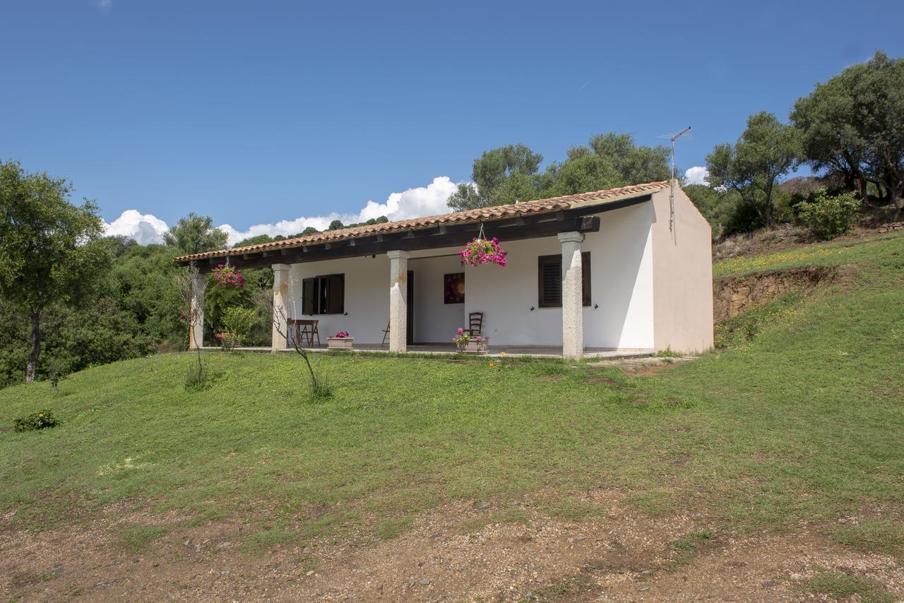 布多尼Agriturismo Sorres别墅 外观 照片